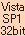 Vista Business SP1